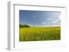 Wind Turbines, Raps, Marchfeld, Austria-Rainer Mirau-Framed Photographic Print