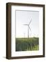 Wind Turbines, Wind Power Station, Renewable Energy, Wind Park, Parish Kronprinzenkoog-Axel Schmies-Framed Photographic Print