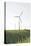 Wind Turbines, Wind Power Station, Renewable Energy, Wind Park, Parish Kronprinzenkoog-Axel Schmies-Stretched Canvas