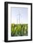 Wind Turbines, Wind Power Station, Renewable Energy, Wind Park, Parish Kronprinzenkoog-Axel Schmies-Framed Photographic Print