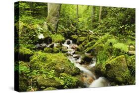 Windberg Waterfall, Near St. Blasien, Black Forest, Baden-Wurttemberg, Germany, Europe-Jochen Schlenker-Stretched Canvas