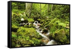 Windberg Waterfall, Near St. Blasien, Black Forest, Baden-Wurttemberg, Germany, Europe-Jochen Schlenker-Framed Stretched Canvas