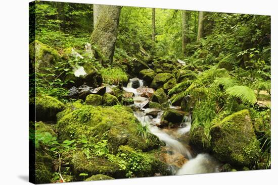 Windberg Waterfall, Near St. Blasien, Black Forest, Baden-Wurttemberg, Germany, Europe-Jochen Schlenker-Stretched Canvas