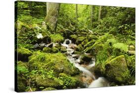 Windberg Waterfall, Near St. Blasien, Black Forest, Baden-Wurttemberg, Germany, Europe-Jochen Schlenker-Stretched Canvas