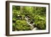 Windberg Waterfall, Near St. Blasien, Black Forest, Baden-Wurttemberg, Germany, Europe-Jochen Schlenker-Framed Photographic Print