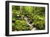 Windberg Waterfall, Near St. Blasien, Black Forest, Baden-Wurttemberg, Germany, Europe-Jochen Schlenker-Framed Photographic Print