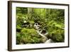 Windberg Waterfall, Near St. Blasien, Black Forest, Baden-Wurttemberg, Germany, Europe-Jochen Schlenker-Framed Photographic Print