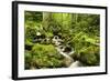 Windberg Waterfall, Near St. Blasien, Black Forest, Baden-Wurttemberg, Germany, Europe-Jochen Schlenker-Framed Photographic Print