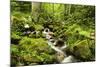 Windberg Waterfall, Near St. Blasien, Black Forest, Baden-Wurttemberg, Germany, Europe-Jochen Schlenker-Mounted Photographic Print