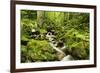 Windberg Waterfall, Near St. Blasien, Black Forest, Baden-Wurttemberg, Germany, Europe-Jochen Schlenker-Framed Photographic Print