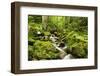 Windberg Waterfall, Near St. Blasien, Black Forest, Baden-Wurttemberg, Germany, Europe-Jochen Schlenker-Framed Premium Photographic Print