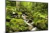 Windberg Waterfall, Near St. Blasien, Black Forest, Baden-Wurttemberg, Germany, Europe-Jochen Schlenker-Mounted Photographic Print