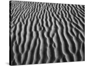 Windblown Dunes in Death Valley-Charles O'Rear-Stretched Canvas