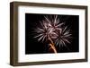 Windblown Fireworks-TamiFreed-Framed Photographic Print