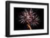 Windblown Fireworks-TamiFreed-Framed Photographic Print