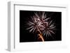 Windblown Fireworks-TamiFreed-Framed Photographic Print