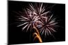 Windblown Fireworks-TamiFreed-Mounted Photographic Print