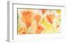 Windblown Poppies #1-Sheila Golden-Framed Premium Giclee Print