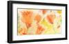 Windblown Poppies #1-Sheila Golden-Framed Art Print