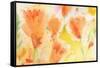 Windblown Poppies #1-Sheila Golden-Framed Stretched Canvas