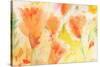 Windblown Poppies #1-Sheila Golden-Stretched Canvas