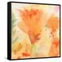 Windblown Poppies #2-Sheila Golden-Framed Stretched Canvas