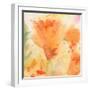 Windblown Poppies #2-Sheila Golden-Framed Art Print