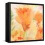 Windblown Poppies #2-Sheila Golden-Framed Stretched Canvas