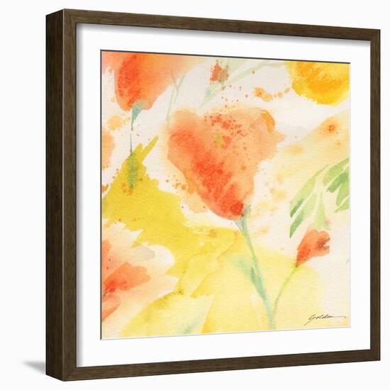 Windblown Poppies #3-Sheila Golden-Framed Art Print