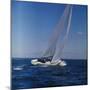 Windblown Sails of Yacht on Open Sea-null-Mounted Photographic Print