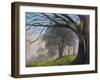 Windblown treesShroesbury,  pastel-Margo Starkey-Framed Giclee Print