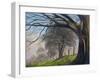 Windblown treesShroesbury,  pastel-Margo Starkey-Framed Giclee Print