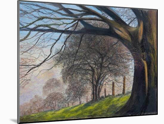 Windblown treesShroesbury,  pastel-Margo Starkey-Mounted Giclee Print