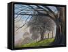 Windblown treesShroesbury,  pastel-Margo Starkey-Framed Stretched Canvas