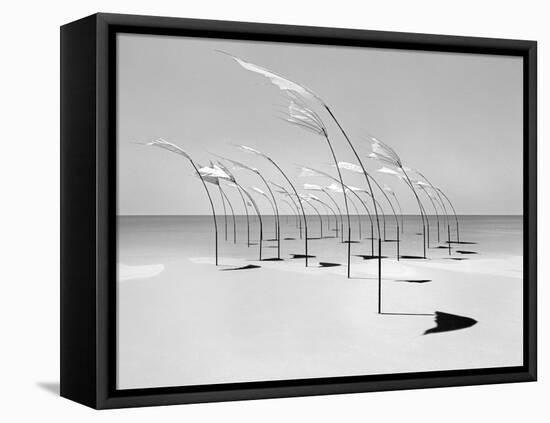 Windblumen 2-Jaschi Klein-Framed Stretched Canvas