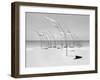 Windblumen 2-Jaschi Klein-Framed Photographic Print