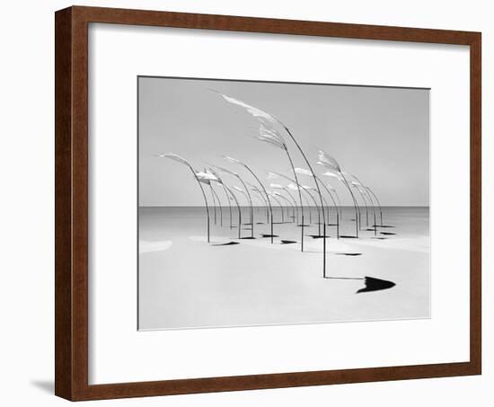 Windblumen 2-Jaschi Klein-Framed Photographic Print