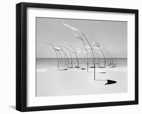 Windblumen 2-Jaschi Klein-Framed Photographic Print