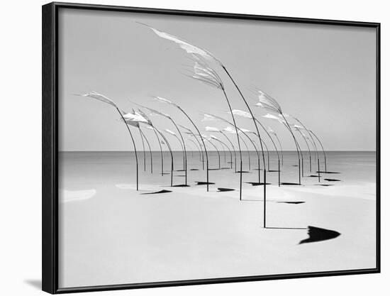 Windblumen 2-Jaschi Klein-Framed Photographic Print