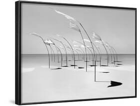 Windblumen 2-Jaschi Klein-Framed Photographic Print