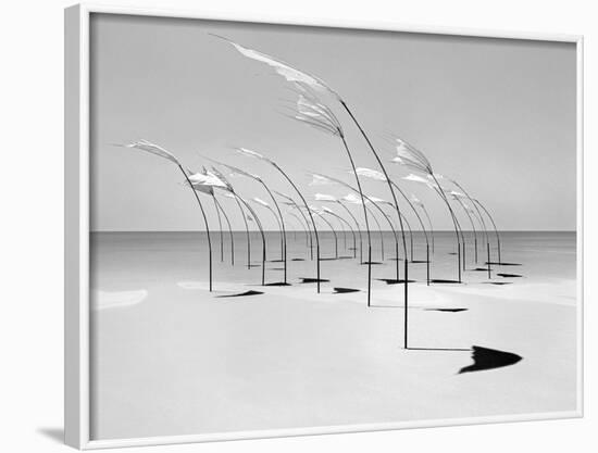 Windblumen 2-Jaschi Klein-Framed Photographic Print