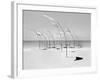 Windblumen 2-Jaschi Klein-Framed Photographic Print