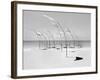 Windblumen 2-Jaschi Klein-Framed Photographic Print