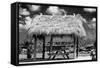 Windbreak with Tropical Thatched Roof - Florida-Philippe Hugonnard-Framed Stretched Canvas