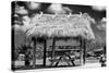 Windbreak with Tropical Thatched Roof - Florida-Philippe Hugonnard-Stretched Canvas