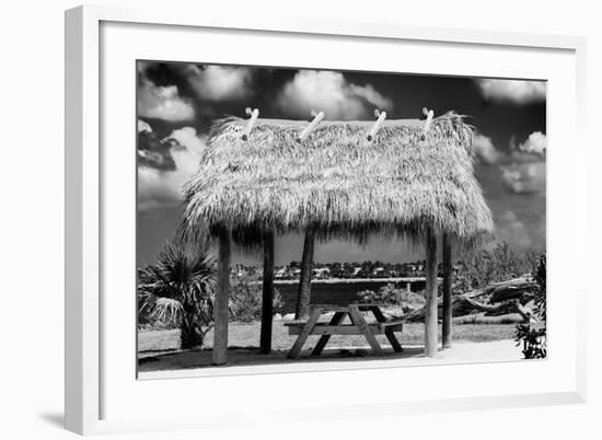 Windbreak with Tropical Thatched Roof - Florida-Philippe Hugonnard-Framed Photographic Print