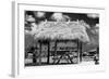 Windbreak with Tropical Thatched Roof - Florida-Philippe Hugonnard-Framed Photographic Print