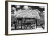 Windbreak with Tropical Thatched Roof - Florida-Philippe Hugonnard-Framed Photographic Print