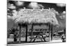 Windbreak with Tropical Thatched Roof - Florida-Philippe Hugonnard-Mounted Photographic Print