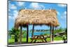 Windbreak with Tropical Thatched Roof - Florida-Philippe Hugonnard-Mounted Premium Photographic Print